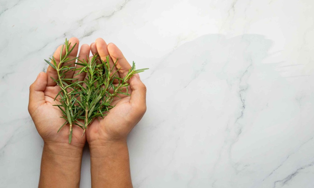 Rosemary to the Rescue: The Ancient Herb That Grows Your Hair (and Shine!)